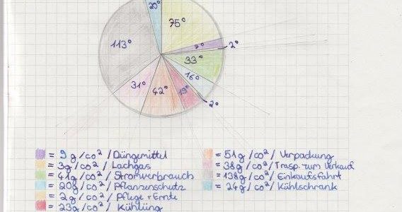 Lebenszyklus der Siegburger Erdbeeren – Eure Kreisdiagramme